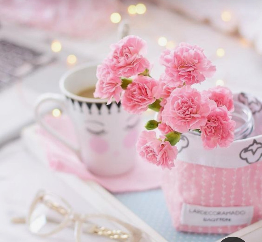 Screenshot_20230220_001719_Pinterest