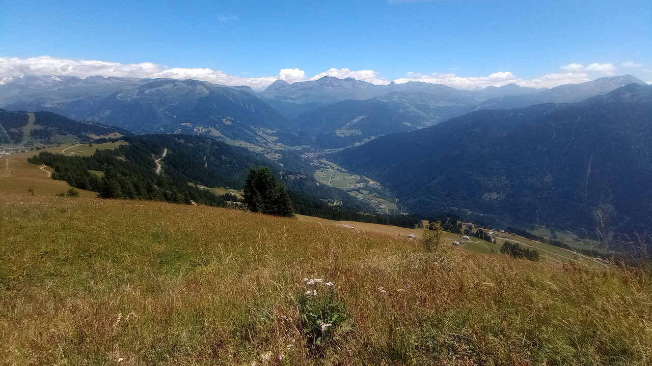 IMG_20250716_133129 (Large)