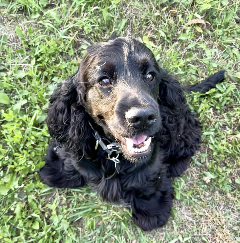 E1178E84-3682-495C-9EB4-B04FFA40B1CE