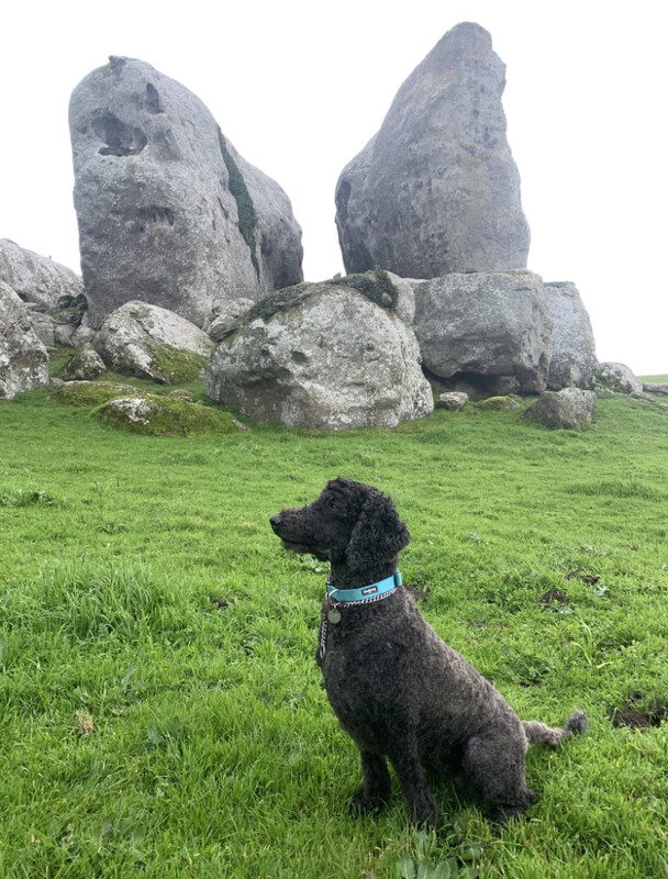 3F4EBCB8-B7BC-4982-9923-EF3A18A0C684