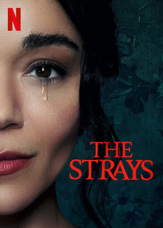 Download The Strays 2023 WEBRip Tamil Dubbed 720p [1XBET]