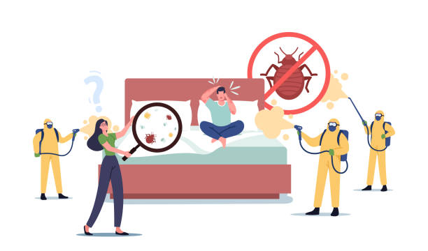 Orlando bed bug treatment