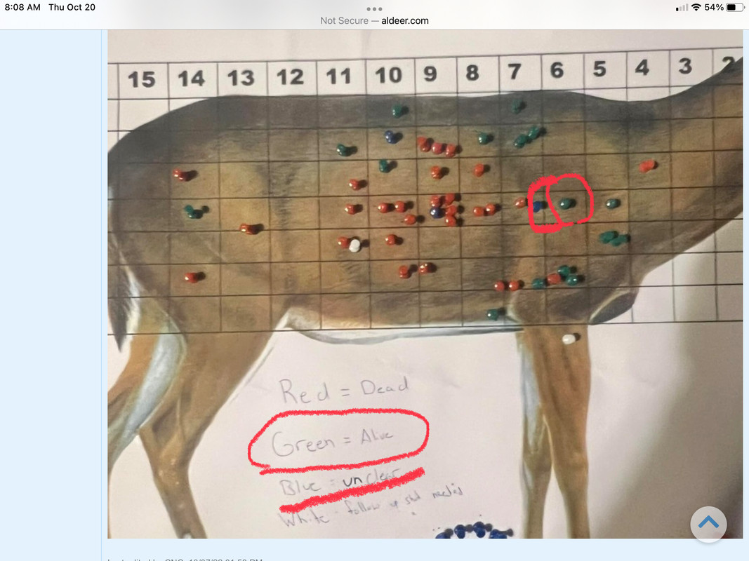 9786FE31-0D2D-45F4-B20A-97384E7077F8