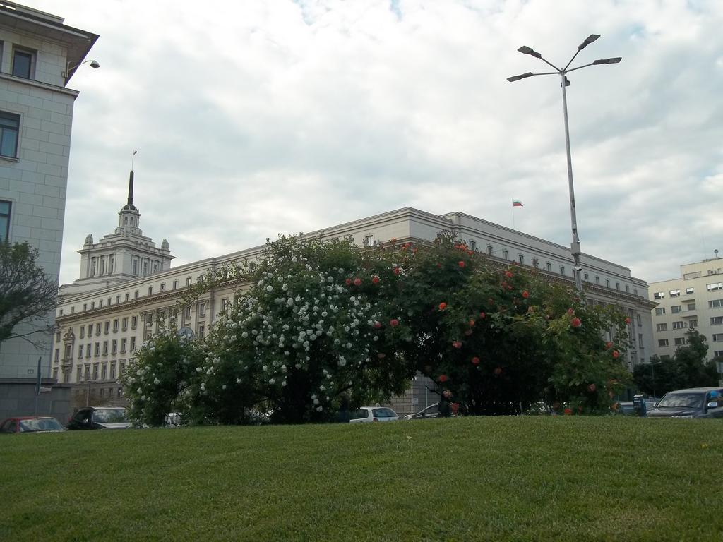 100-6936.jpg