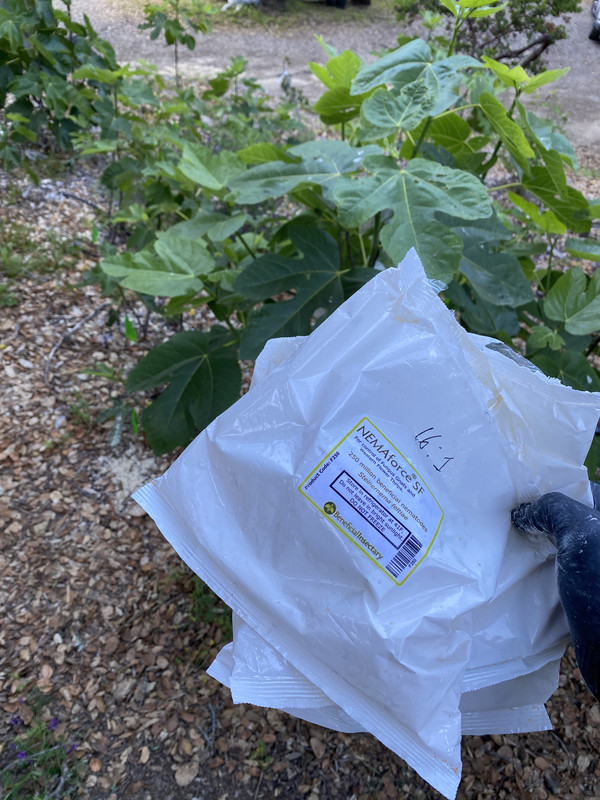 4C68DB21-3CB9-4064-A40B-67A76DECC61E