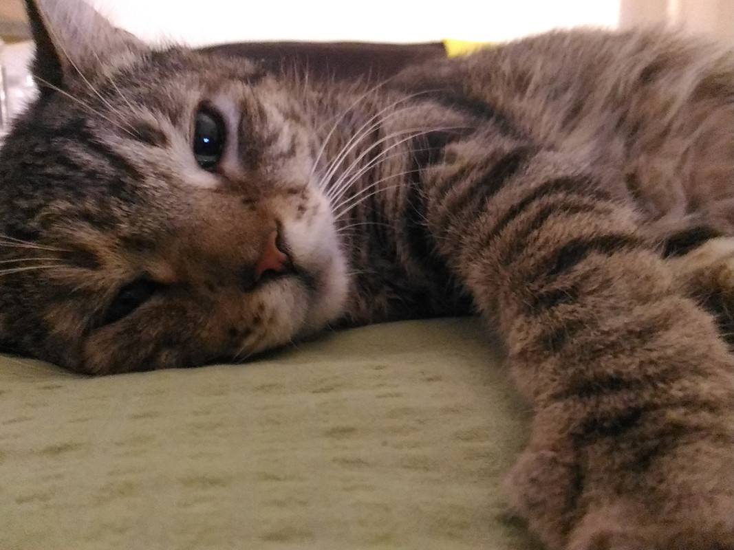 P_20191111_224512_LL