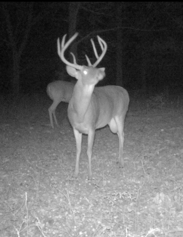 FCEA2149-9FC5-414C-9A4B-53341394A25D