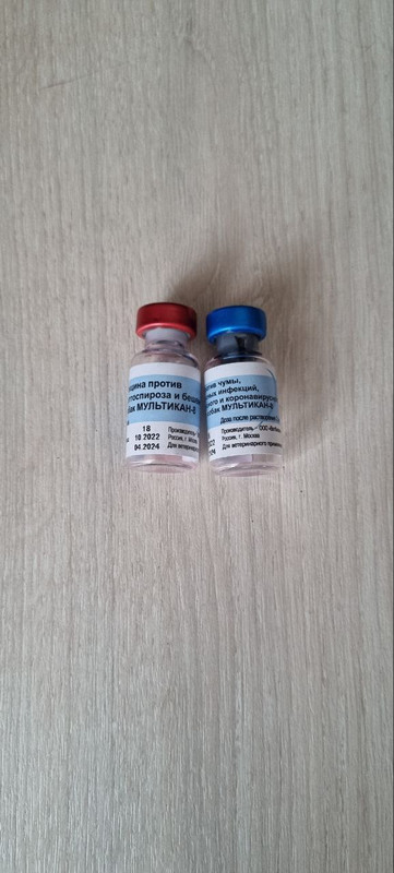 photo_2022-11-15_14-25-31 (2)