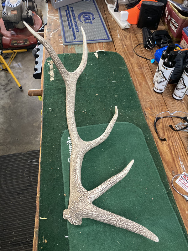 a4r4daLdSQyqeSR0JXNDHQ