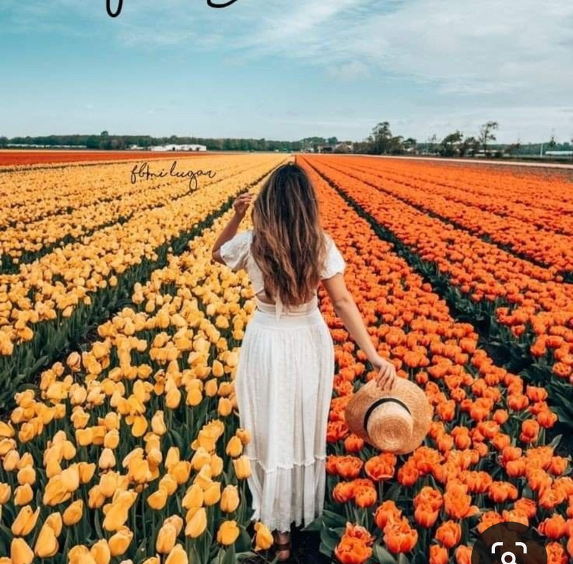 Screenshot_20230719_220644_Pinterest