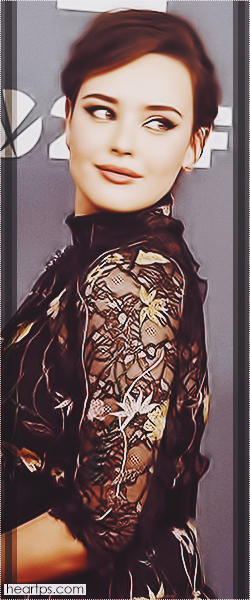 ���� ���� ������ �� ���� ������