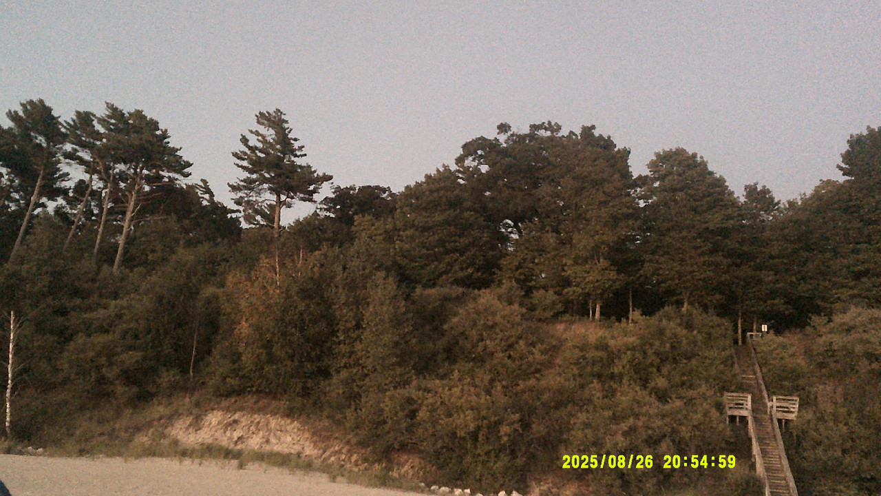 a green gradient