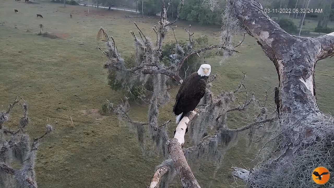 Webp.net-gifmaker (7)