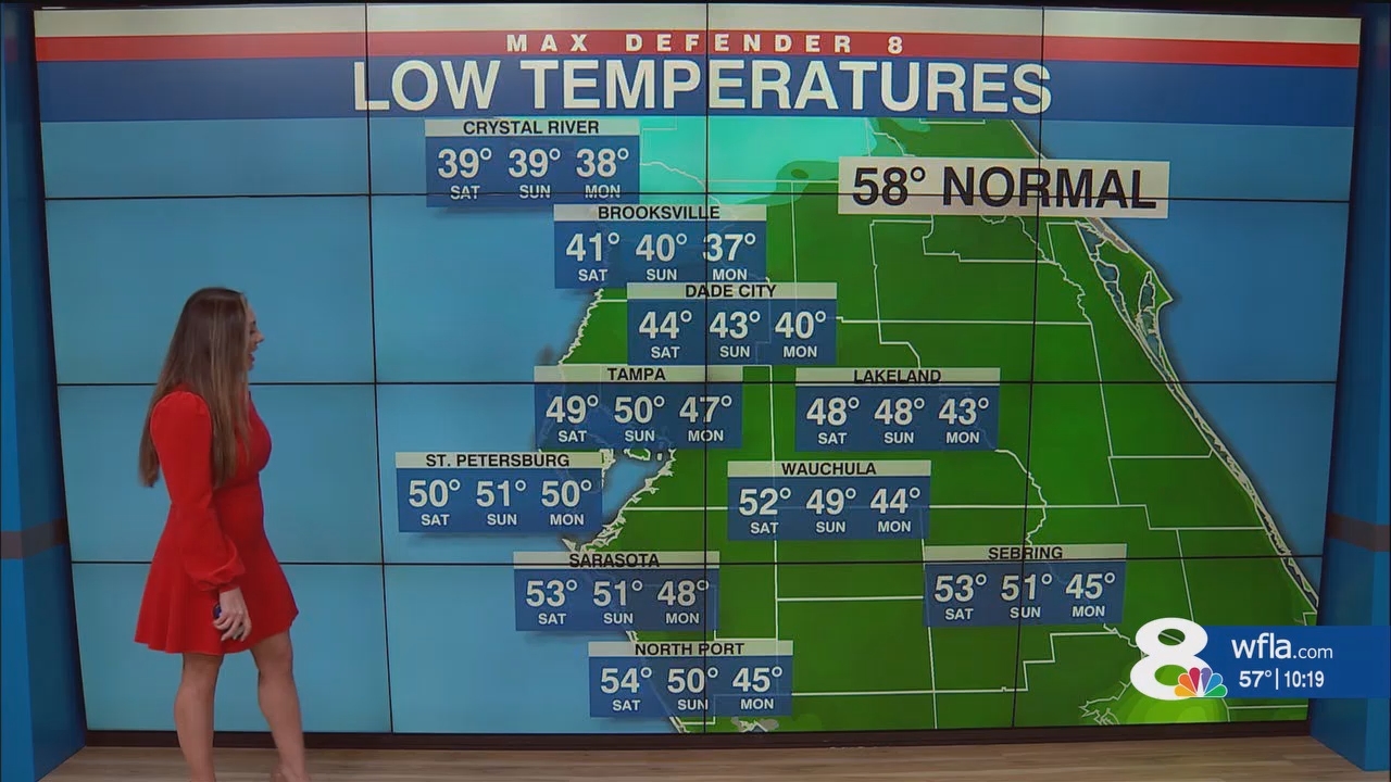 NewsChannel 8 News at 1000pm_20241130_03000330.ts_snapshot_20.02.830