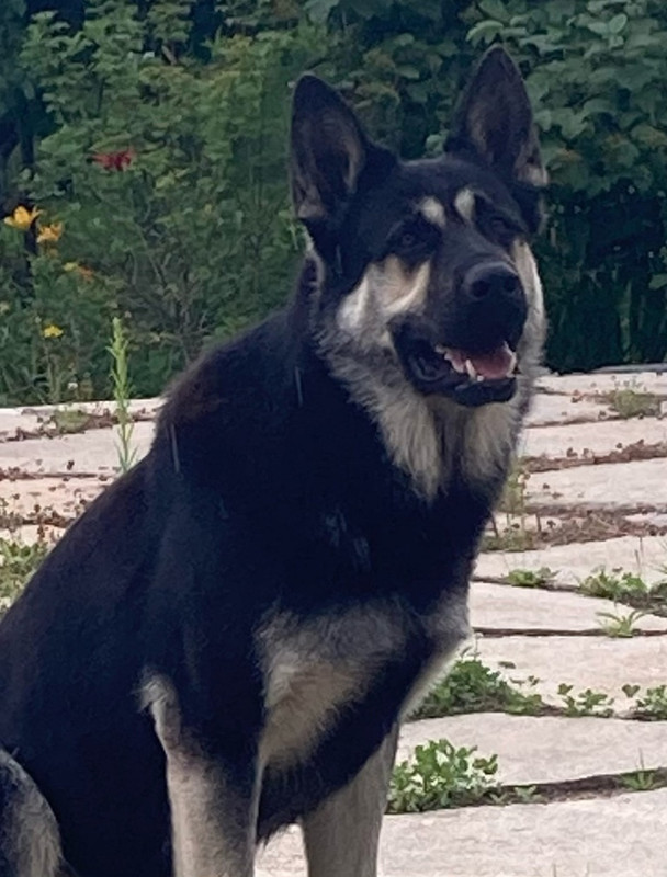 njETlS-gWUP_h0yRicaFARqCvWtl4Xg3xJ7Vc9_SH8wbOsGjhLFvpSLxcKpVZeBV6mVURFy-8ELdr5QiSObjle_R