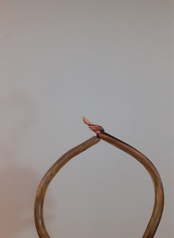 163017628_284438216453302_3061445134504949279_n