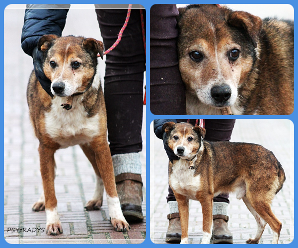 BeFunky-collage (15)