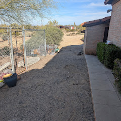 Backyard cleanout after Tatum Ranch