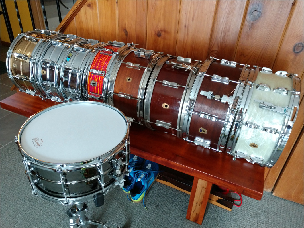 Ludwig Snr coll
