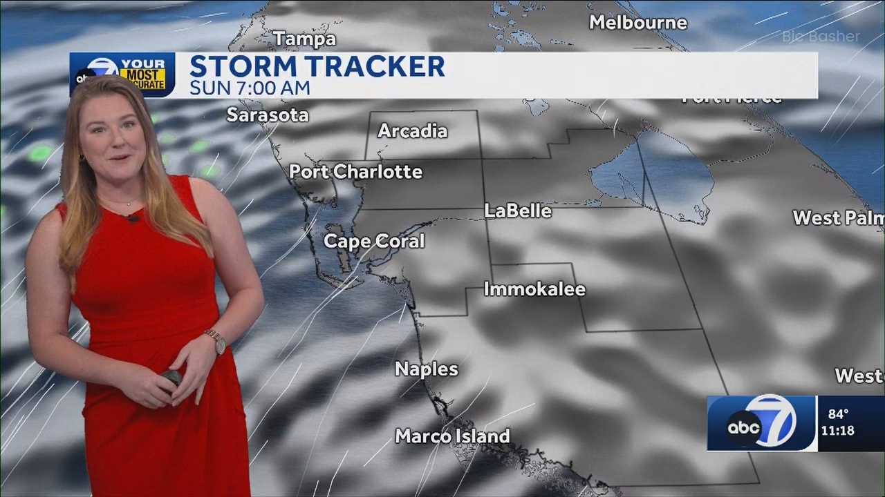 06.09 - 04.00.00 - ABC7 News @ 11pm - Sa  ᴺᵉʷ. No Description Info.ts_snapshot_24.14.446