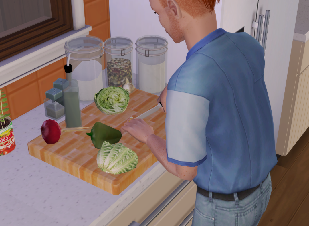 Sims2-EP9-RPC-2024-01-18-20-25-35-95