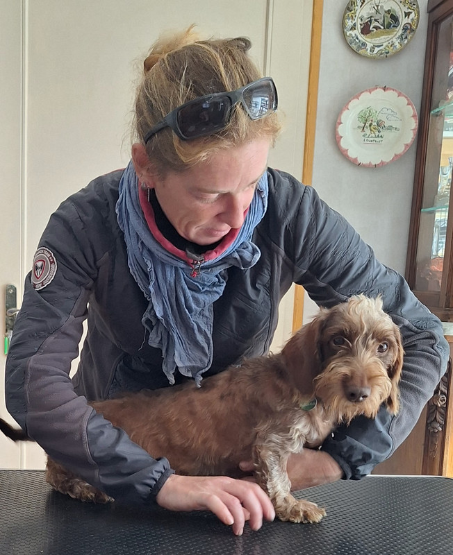 [Image: 20241022-144332.jpg]