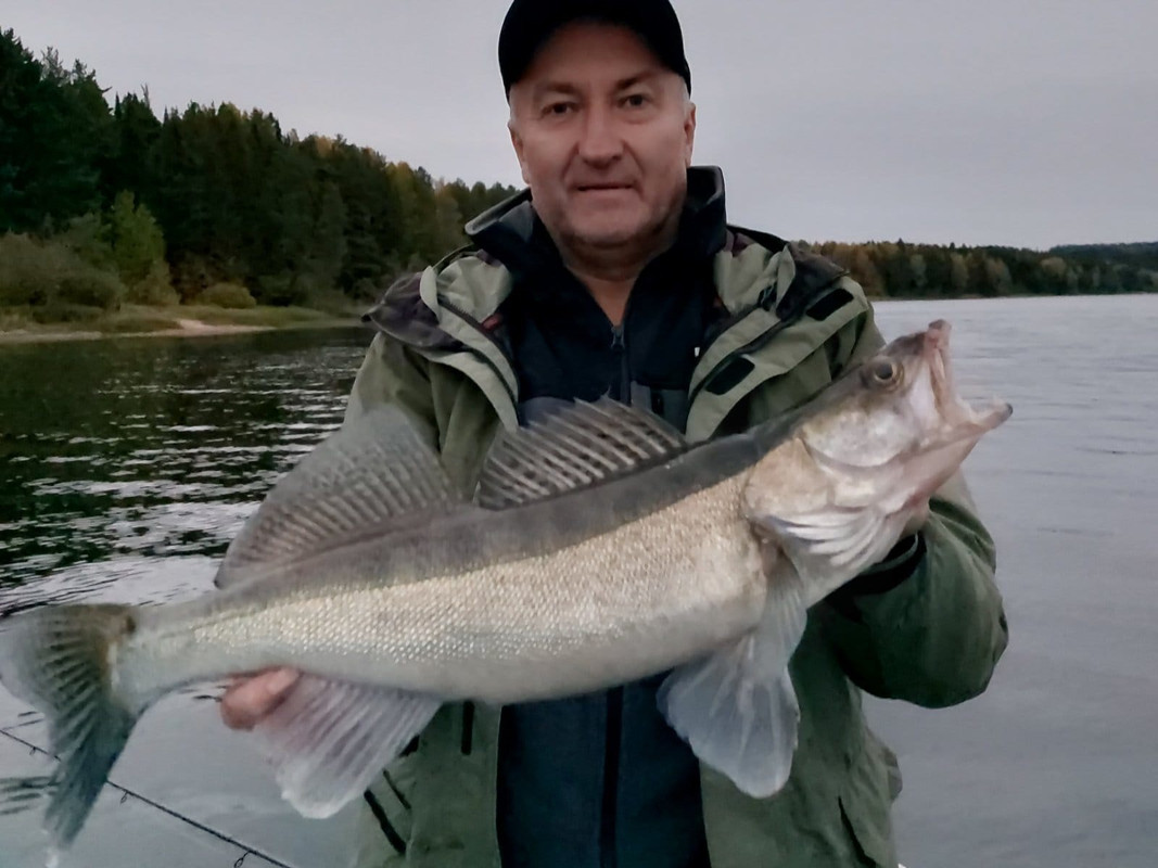 28 джиг головка купи лучший спиннинг катушка Куляпин ловля рыбалка судак щука обучение