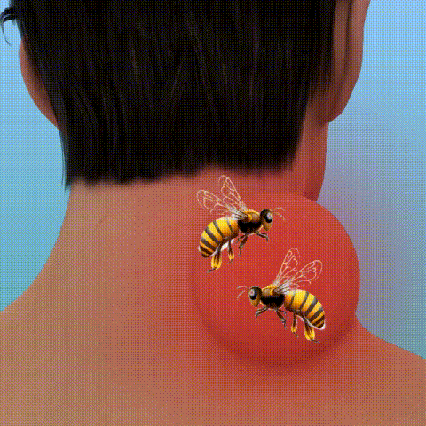 Bee Venom — conforto contínuo
