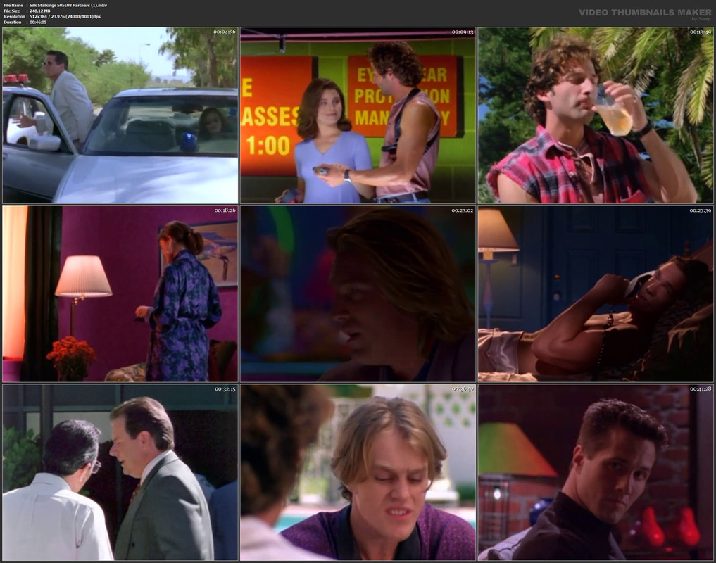 Silk Stalkings S05E08 Partners (1).mkv