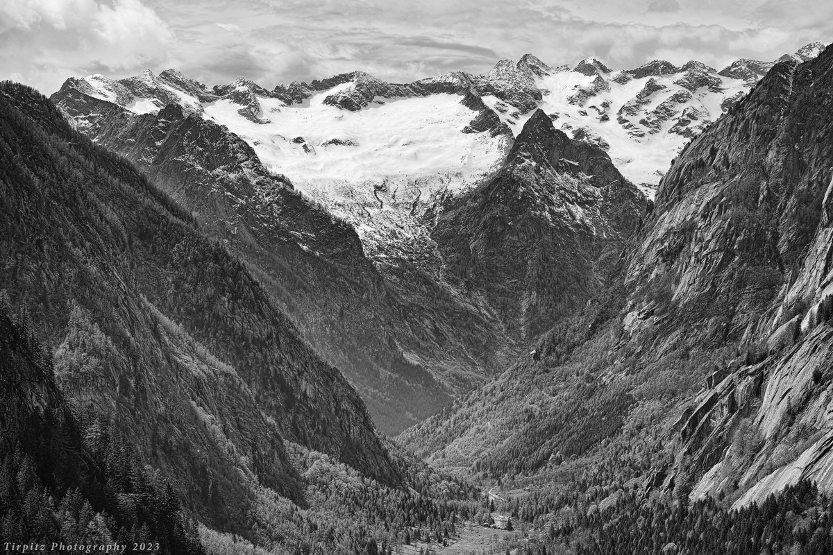 DP0Q0631-3