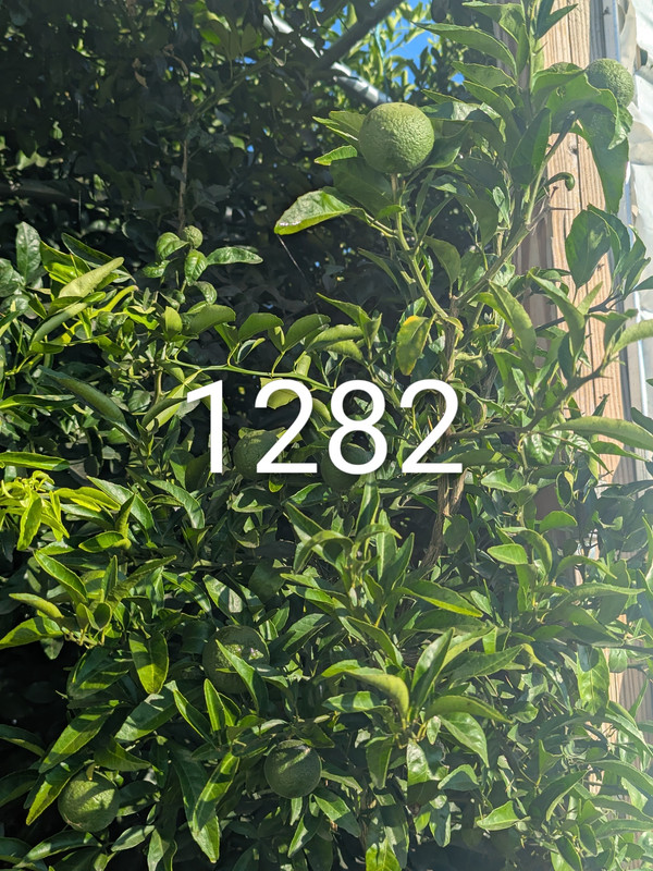 PXL_20250918_123611118~2