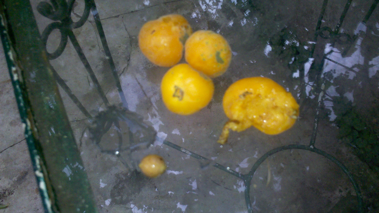 2013-12-19_16-37-44_312