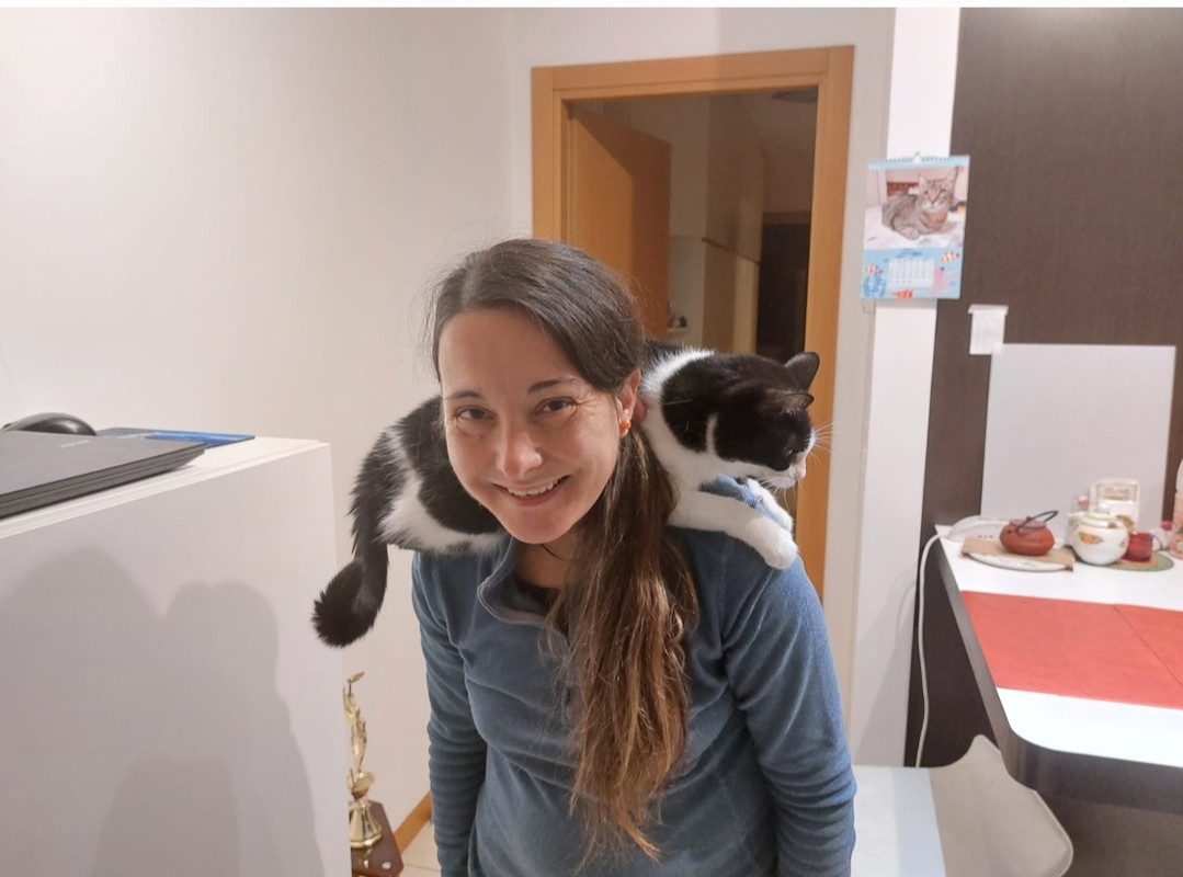 Screenshot_20231116-194534_Gallery