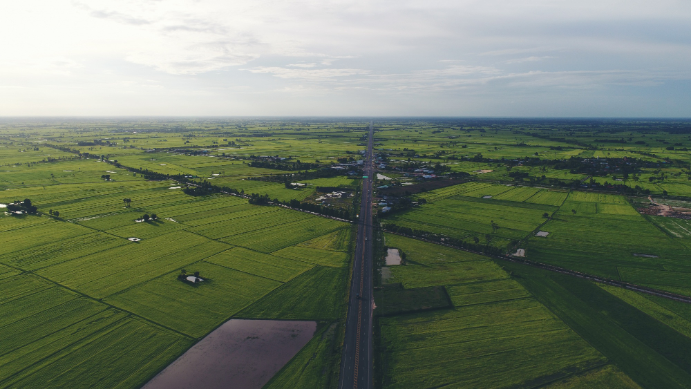 buy plots in Dholera