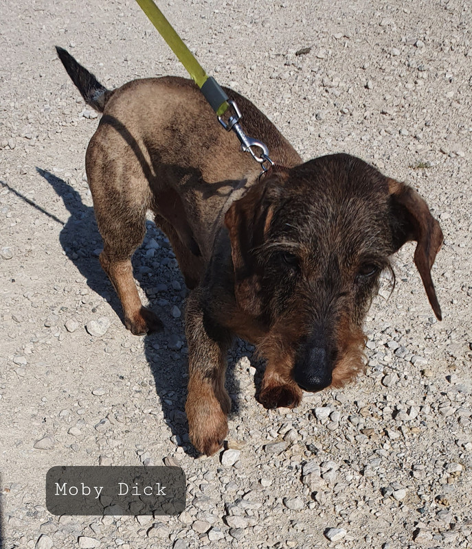 [Image: 20230707-073654.jpg]