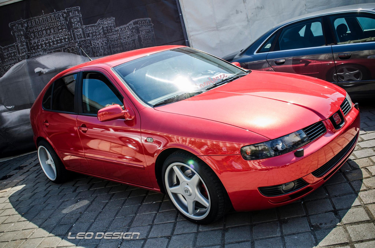 Leo Design poza profi leon sam 2016
