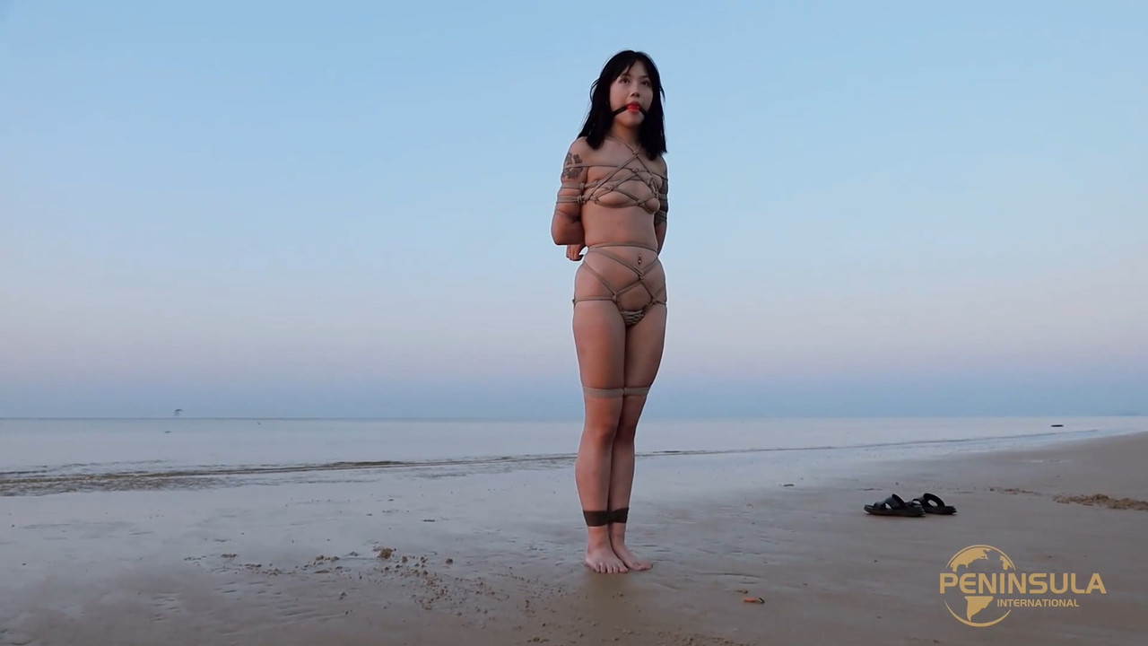 半岛束艺 为了证明烟台近海没有鲨鱼~波雅.mkv_20241003_133026.826