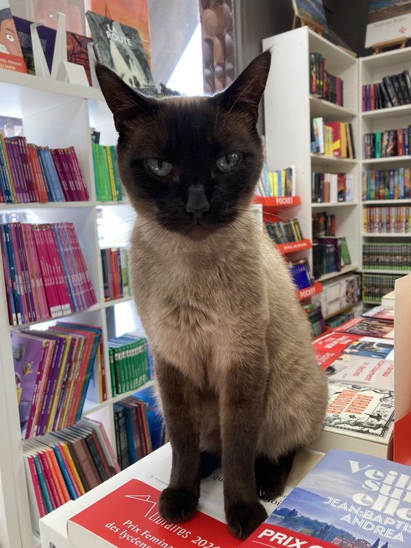 [Image: IMG-2426.jpg]