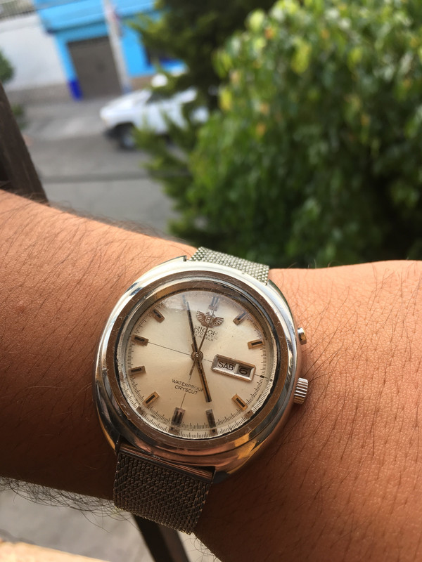 1A9D3AAD-A21B-4B5D-B408-B662782CA52C