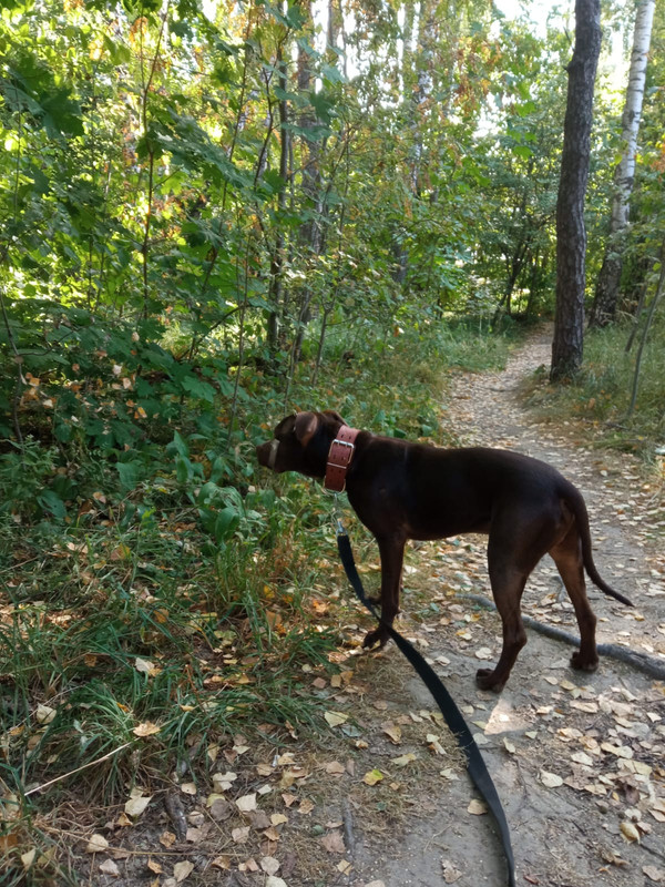 110C3EA3-2150-46E3-A329-3070466B0E87