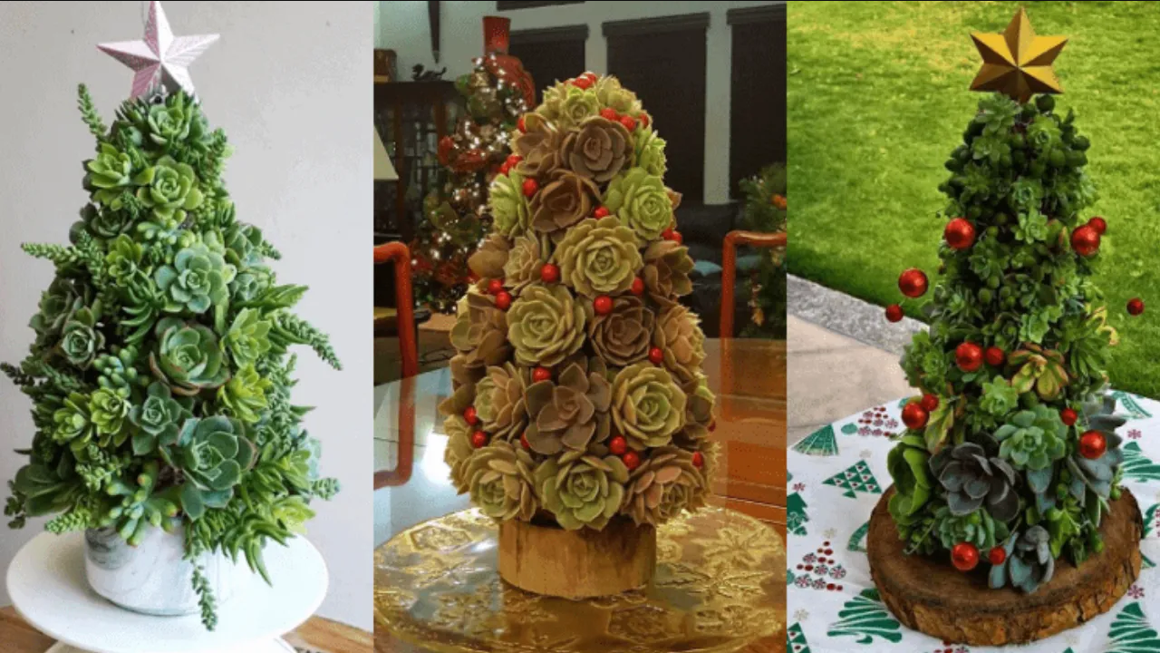 Atrae el dinero a tu casa colocando estas plantas debajo de tu árbol de Navidad
