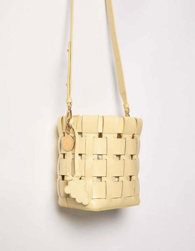 Stella1-e1701078613380