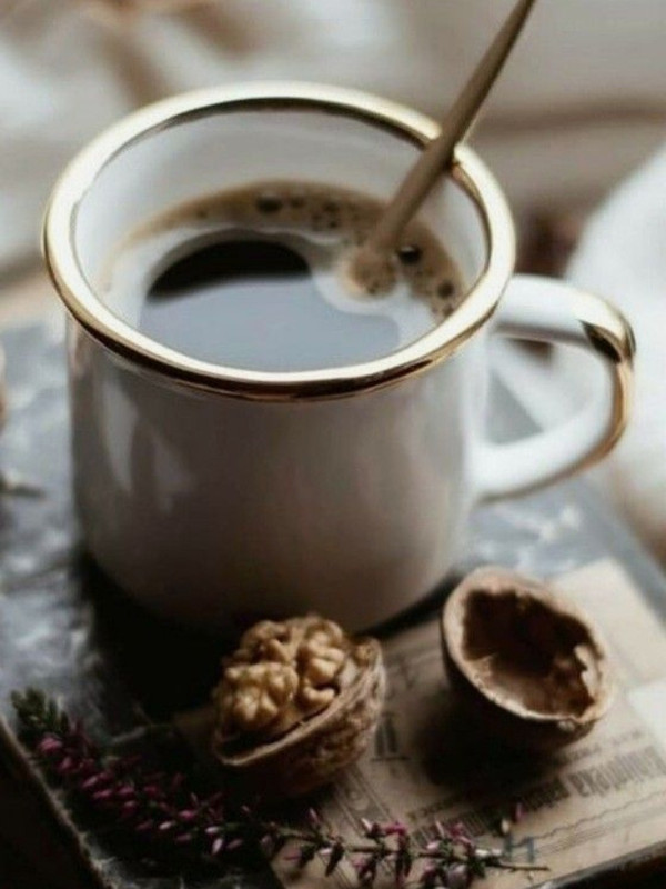 Screenshot_20240629_001737_Pinterest