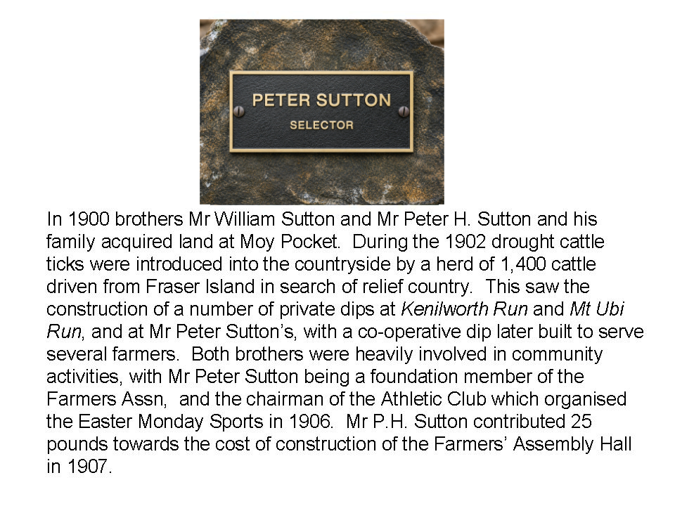 P H Sutton