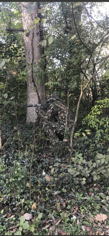 B2F461DD-BD47-4B0E-87B8-45778CCEF22E