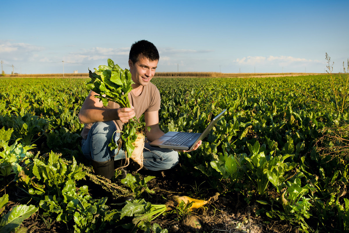 What is Organic Farming