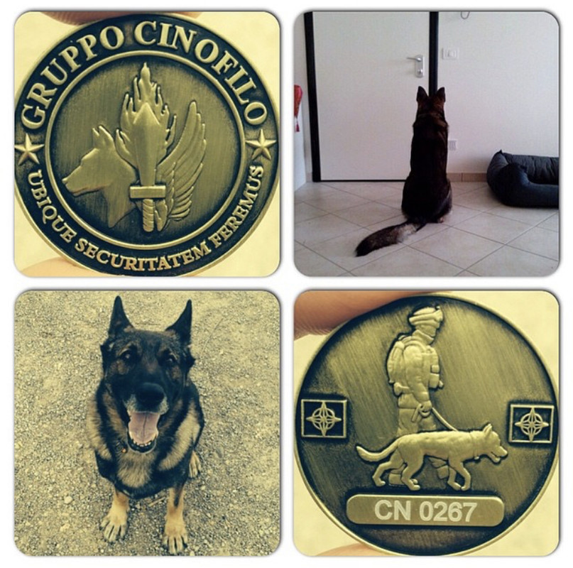 1DCE7A25-5606-4EF2-AC03-380AEFC83728