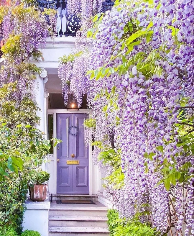 Screenshot_20240420_212330_Threads