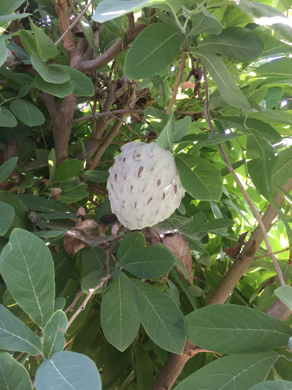 5B36145E-77BC-479A-8314-9D3784590442