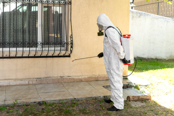 Pest-control-28.jpg